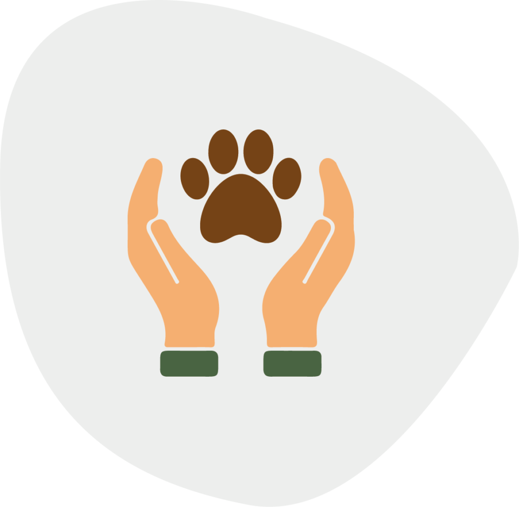 My Friendly Vet services