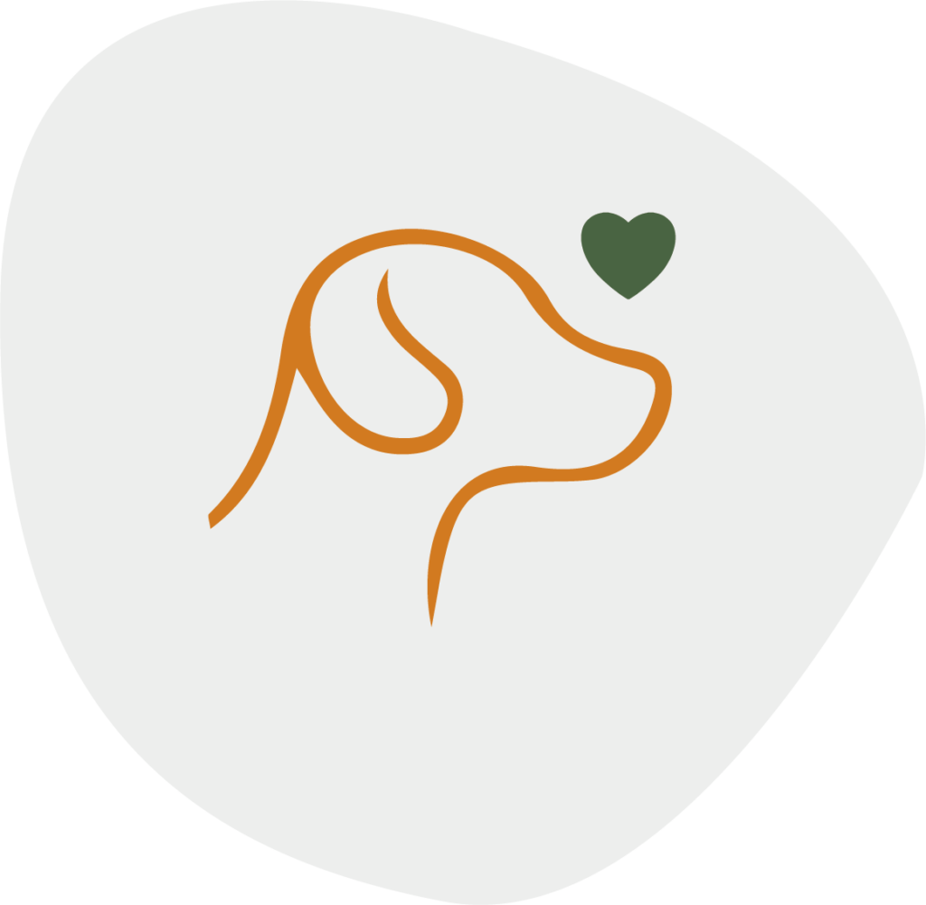 My Friendly Vet services