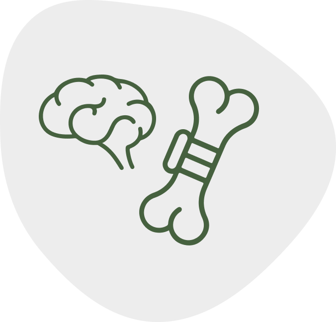 My Friendly Vet services