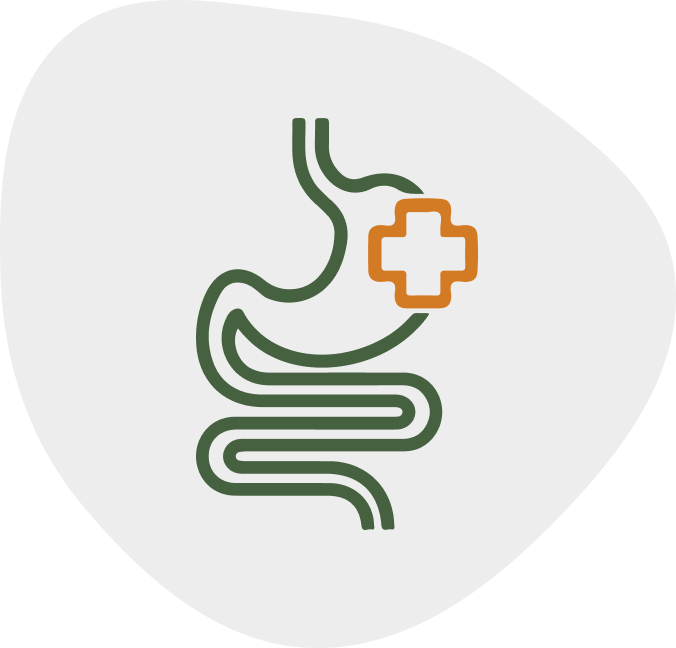 My Friendly Vet services