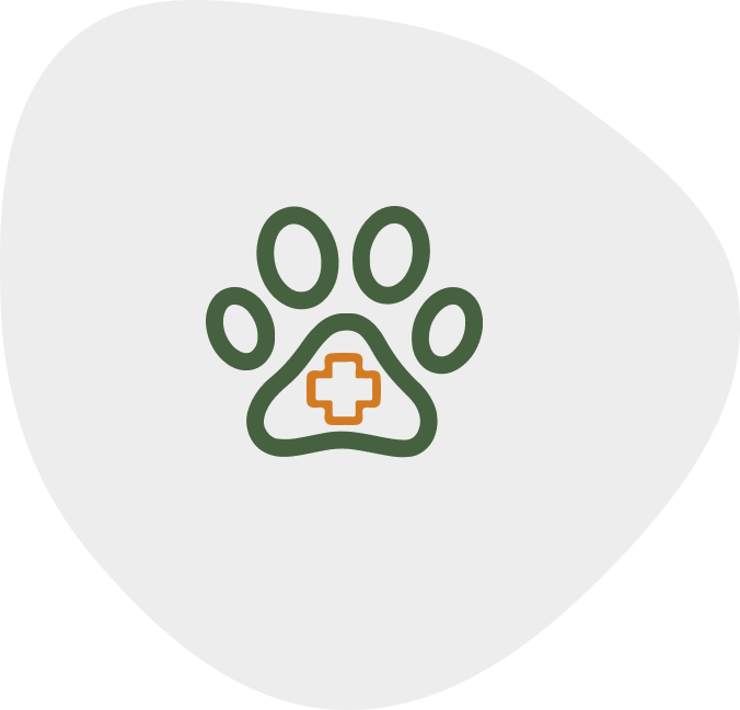 My Friendly Vet services