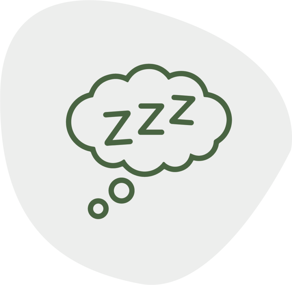 My Friendly Vet services