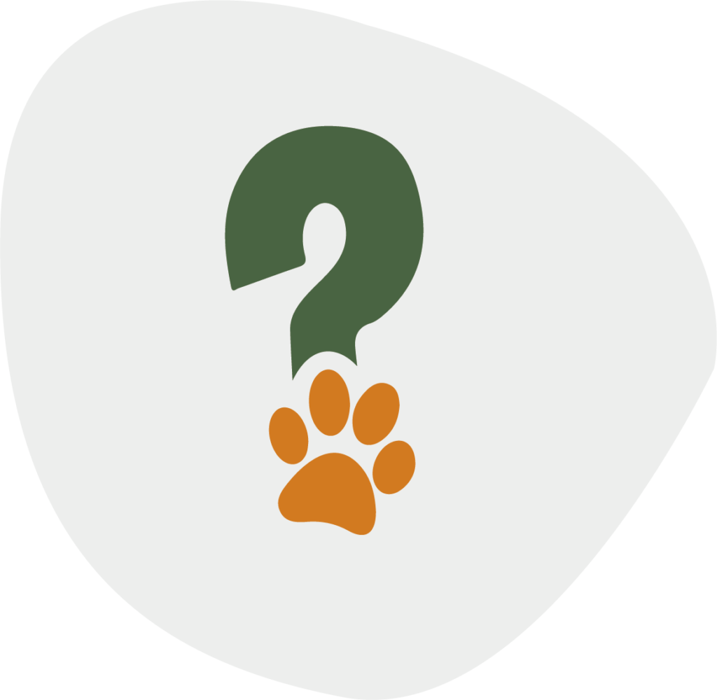 My Friendly Vet cases