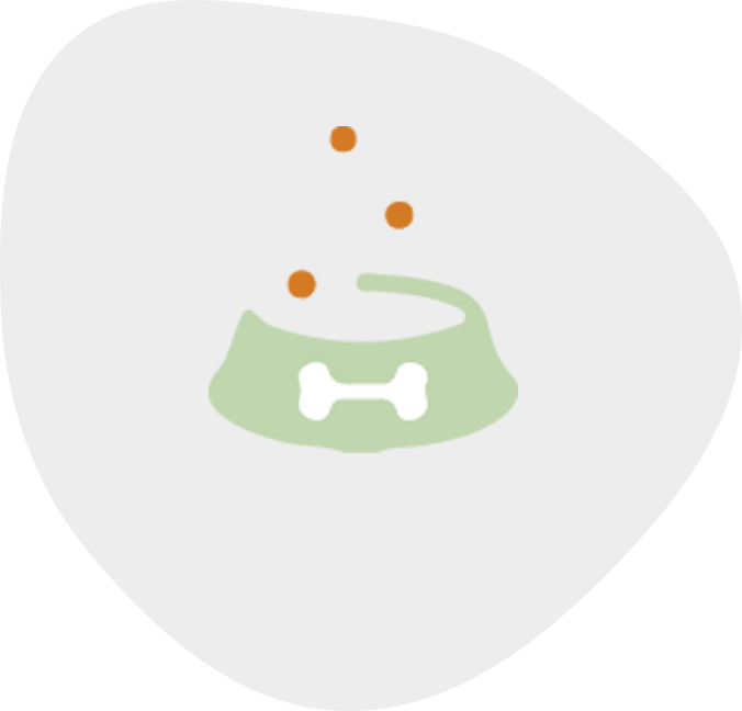 My Friendly Vet cases