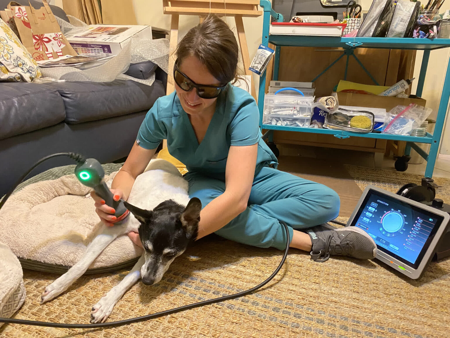 Gallery rehabilitation pet my friendly vet