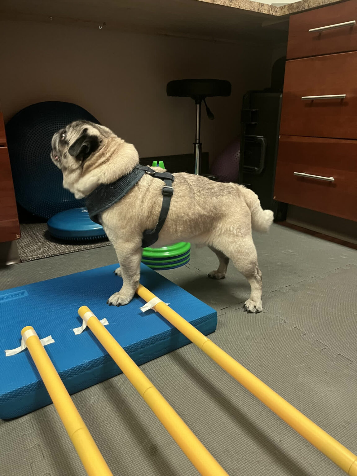 Gallery rehabilitation (6)